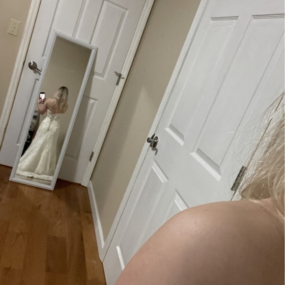 Elegant Ivory Lace Wedding Dress & Veil - Picture 3 of 4